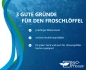 Mobile Preview: XXL Froschlöffel im 2 Liter Pflanzkorb